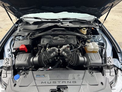 2024 Ford Mustang Dark Horse