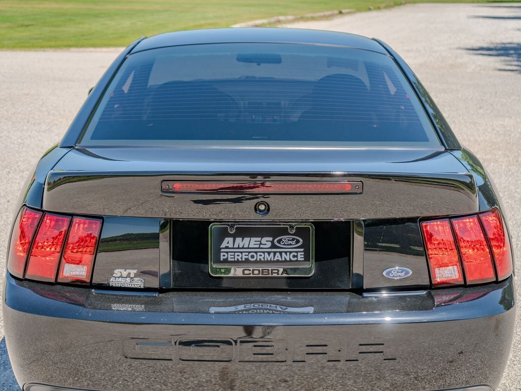 2003 Ford Mustang Terminator Cobra