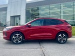 2025 Ford Escape ST-Line Elite