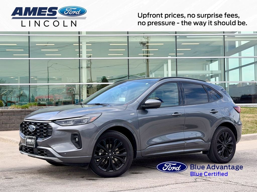 2025 Ford Escape Hybrid ST-Line Elite