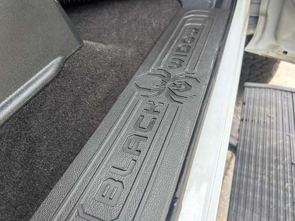 2022 Ford F-150 Black Widow