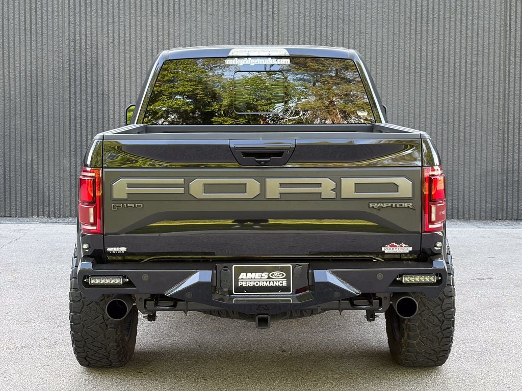 2019 Ford F-150 Raptor