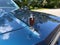 1979 Chevrolet Monte Carlo Base